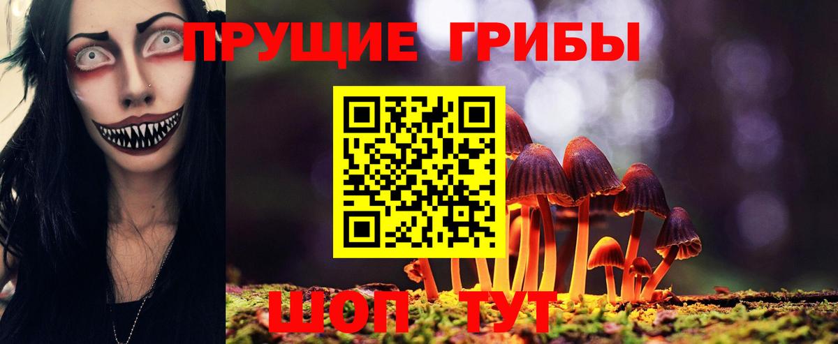 Псилоцибиновые грибы прущие грибы  Вход с VPN  Светлоград 